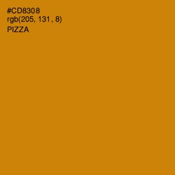 #CD8308 - Pizza Color Image