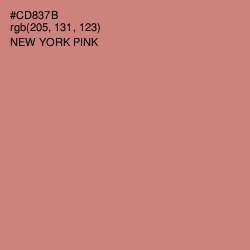 #CD837B - New York Pink Color Image