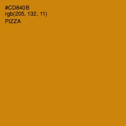 #CD840B - Pizza Color Image