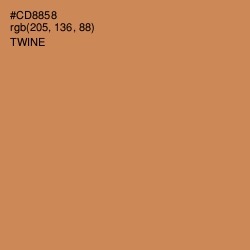 #CD8858 - Twine Color Image