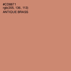 #CD8871 - Antique Brass Color Image