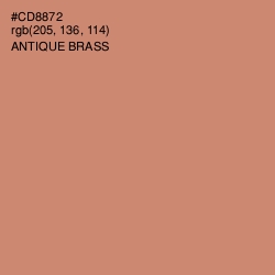 #CD8872 - Antique Brass Color Image