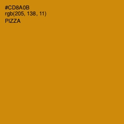 #CD8A0B - Pizza Color Image