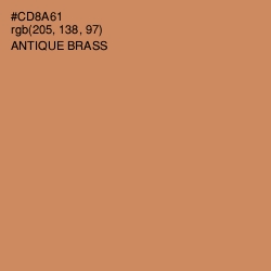 #CD8A61 - Antique Brass Color Image