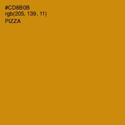 #CD8B0B - Pizza Color Image