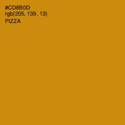 #CD8B0D - Pizza Color Image