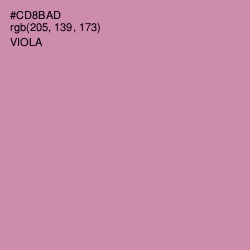 #CD8BAD - Viola Color Image