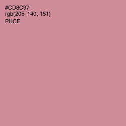 #CD8C97 - Puce Color Image