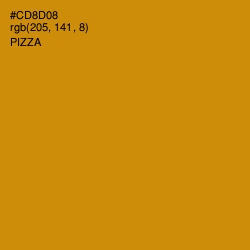 #CD8D08 - Pizza Color Image