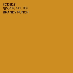 #CD8D21 - Brandy Punch Color Image