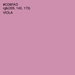 #CD8FAD - Viola Color Image