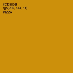 #CD900B - Pizza Color Image