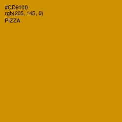 #CD9100 - Pizza Color Image