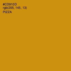 #CD910D - Pizza Color Image