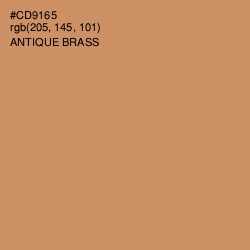 #CD9165 - Antique Brass Color Image