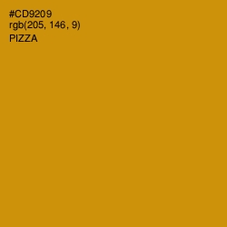 #CD9209 - Pizza Color Image