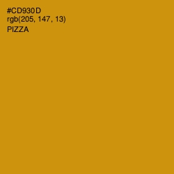 #CD930D - Pizza Color Image