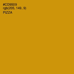 #CD9509 - Pizza Color Image