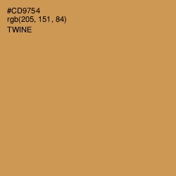 #CD9754 - Twine Color Image