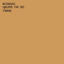 #CD9A5C - Twine Color Image