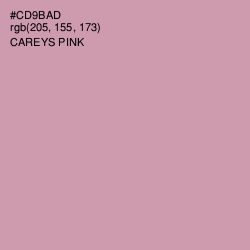 #CD9BAD - Careys Pink Color Image