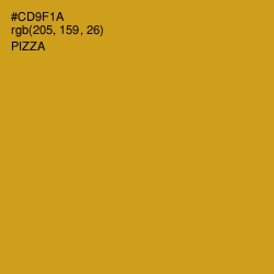 #CD9F1A - Pizza Color Image