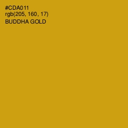 #CDA011 - Buddha Gold Color Image