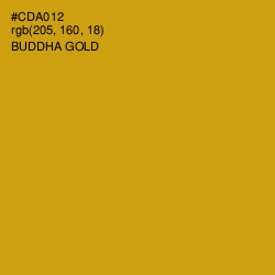 #CDA012 - Buddha Gold Color Image