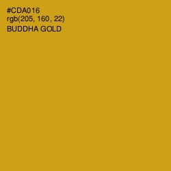 #CDA016 - Buddha Gold Color Image