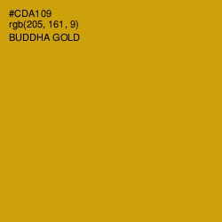 #CDA109 - Buddha Gold Color Image