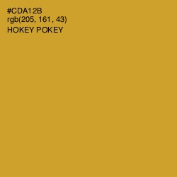#CDA12B - Hokey Pokey Color Image