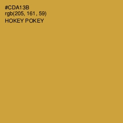 #CDA13B - Hokey Pokey Color Image