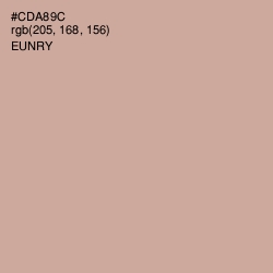 #CDA89C - Eunry Color Image