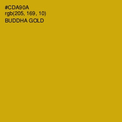 #CDA90A - Buddha Gold Color Image