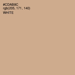 #CDAB8C - Tan Color Image