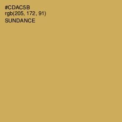 #CDAC5B - Sundance Color Image