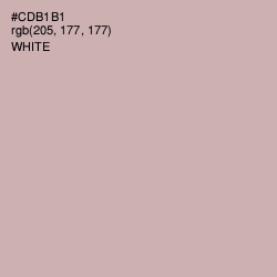 #CDB1B1 - Cold Turkey Color Image