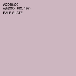 #CDB6C0 - Pale Slate Color Image