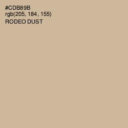 #CDB89B - Rodeo Dust Color Image