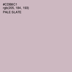 #CDB8C1 - Pale Slate Color Image