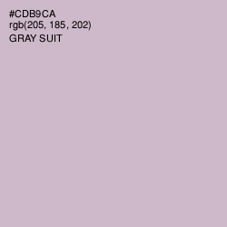 #CDB9CA - Gray Suit Color Image