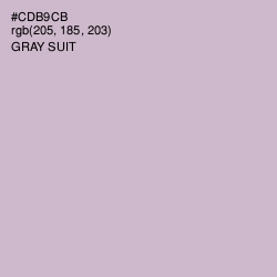 #CDB9CB - Gray Suit Color Image