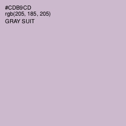 #CDB9CD - Gray Suit Color Image