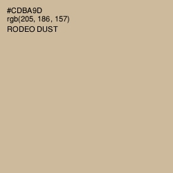 #CDBA9D - Rodeo Dust Color Image