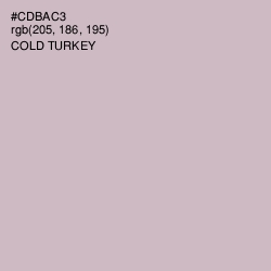 #CDBAC3 - Pale Slate Color Image