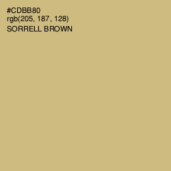 #CDBB80 - Sorrell Brown Color Image