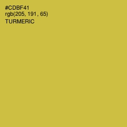 #CDBF41 - Turmeric Color Image