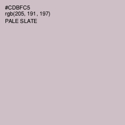 #CDBFC5 - Pale Slate Color Image