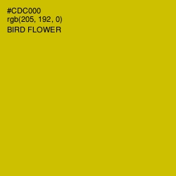 #CDC000 - Bird Flower Color Image