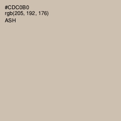 #CDC0B0 - Ash Color Image